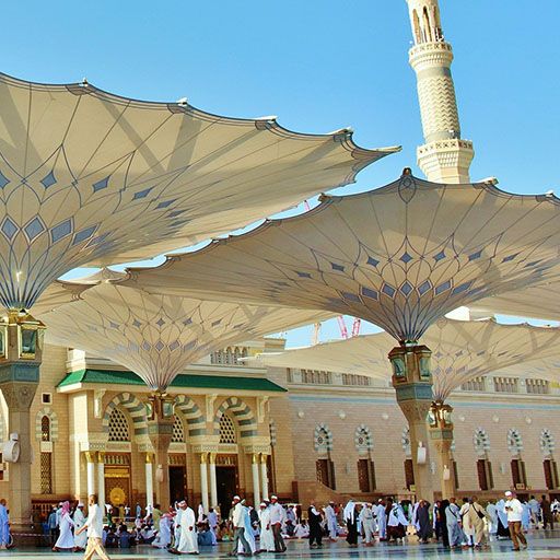 المدينة المنورة